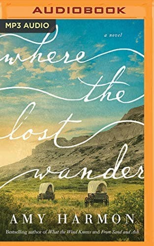 Cover of Where the Lost Wander