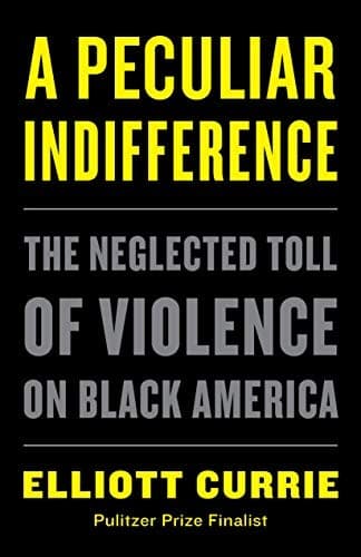 Cover of Peculiar Indifference: The Neglected Toll of Violence on Black America