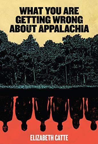 Cover of What you are getting wrong about Appalachia