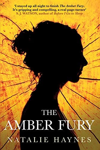 Cover of Amber Fury