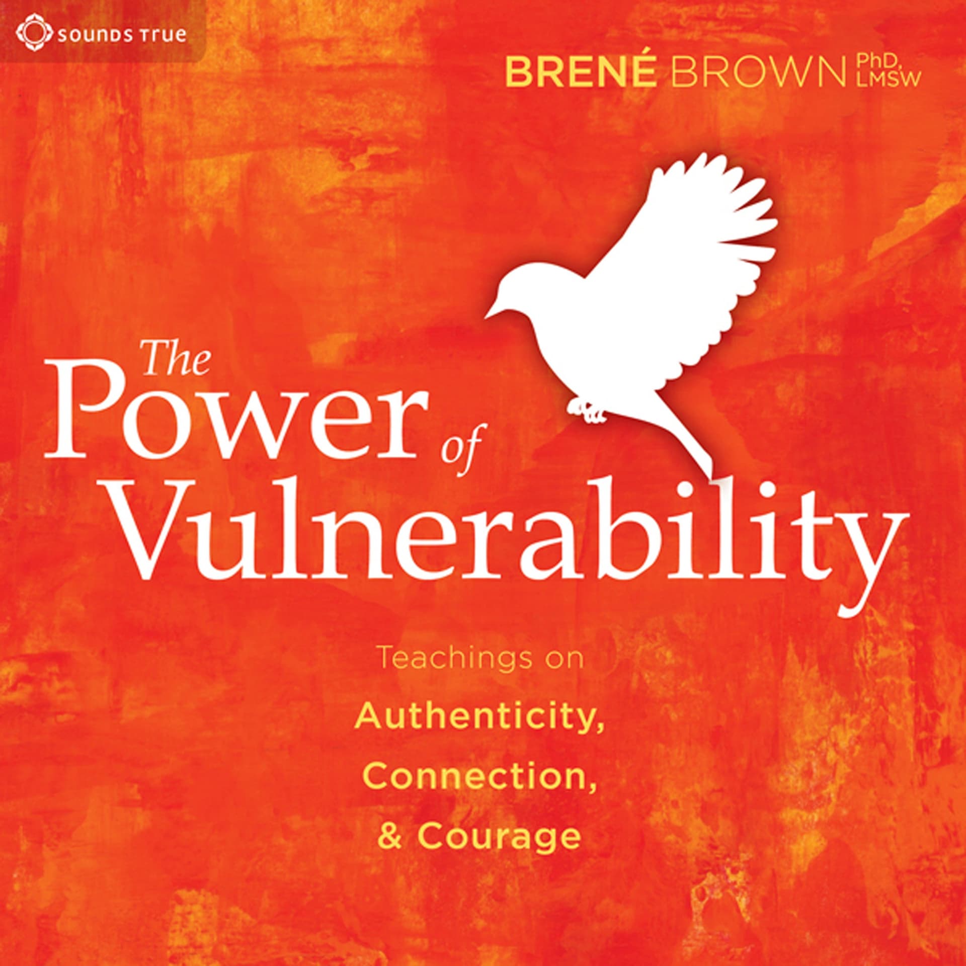Cover of The Power of Vulnerability: Teachings of Authenticity, Connections and Courage