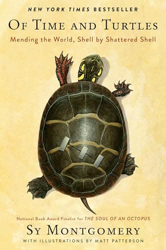 Cover of Of Time and Turtles