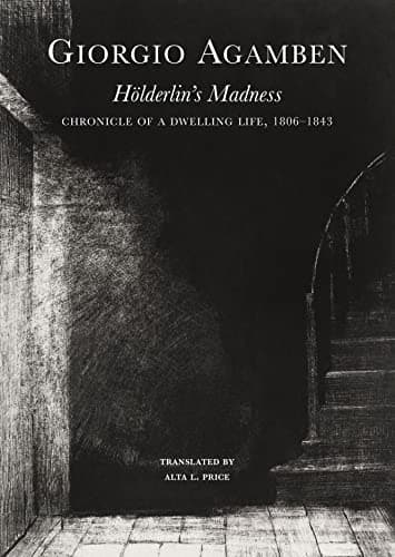 Cover of Hölderlin, Holed Up