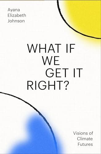 Cover of What If We Get It Right?