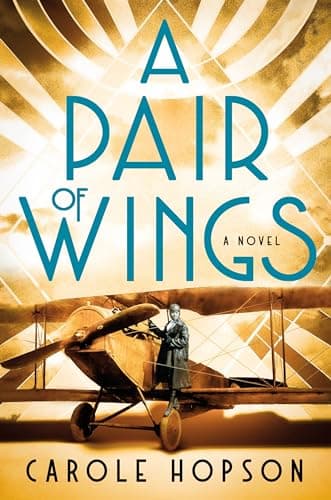 Cover of A Pair of Wings