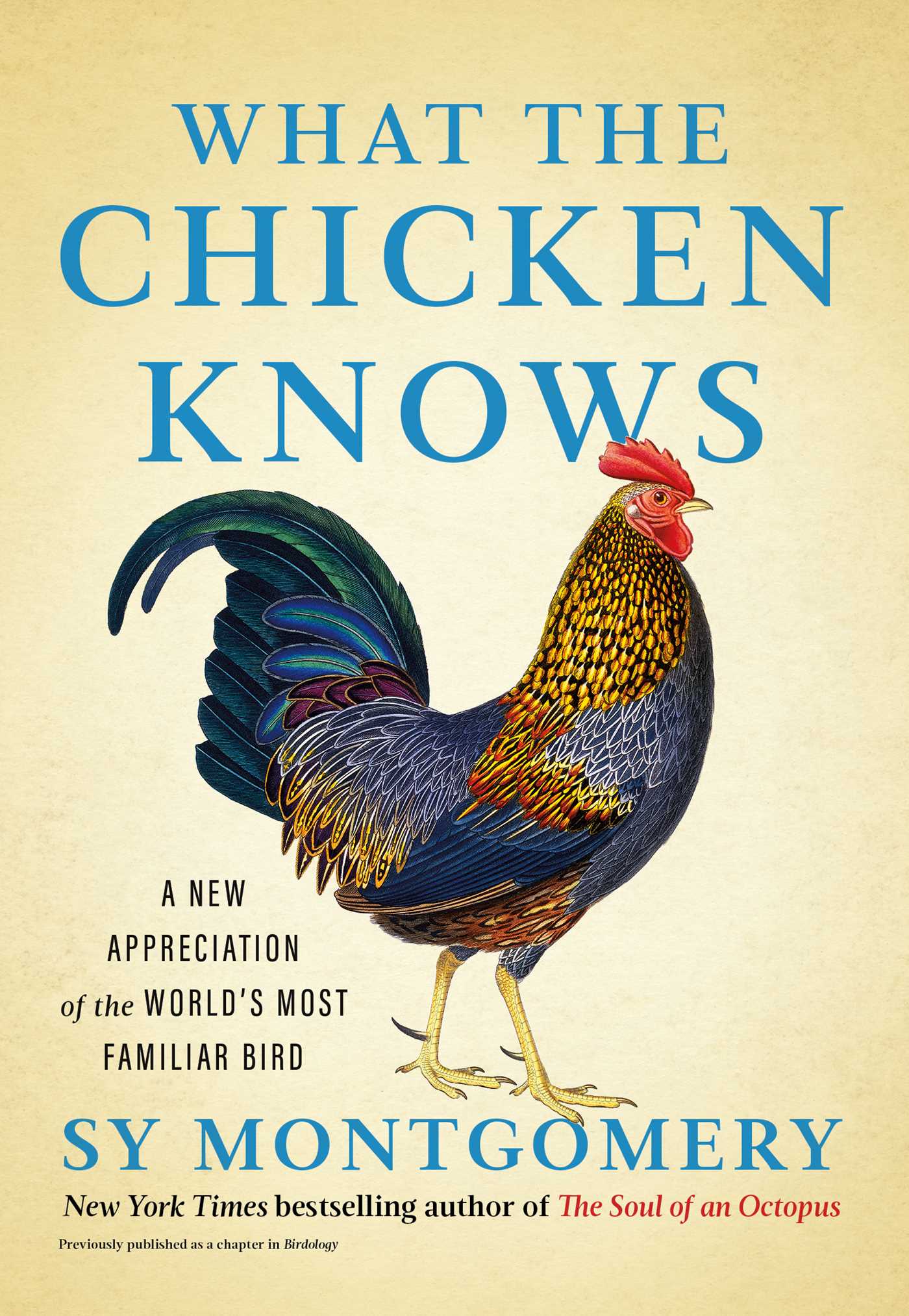 Cover of What the Chicken Knows: A New Appreciation of the World's Most Familiar Bird