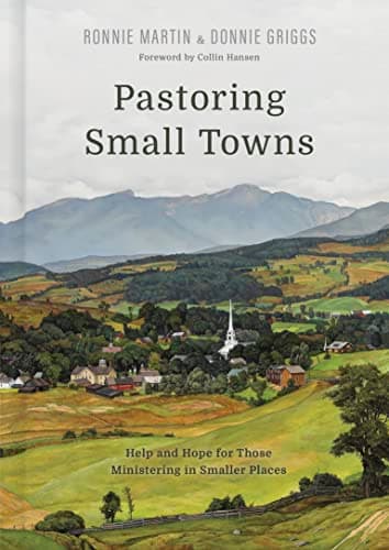Cover of Pastoring Small Towns