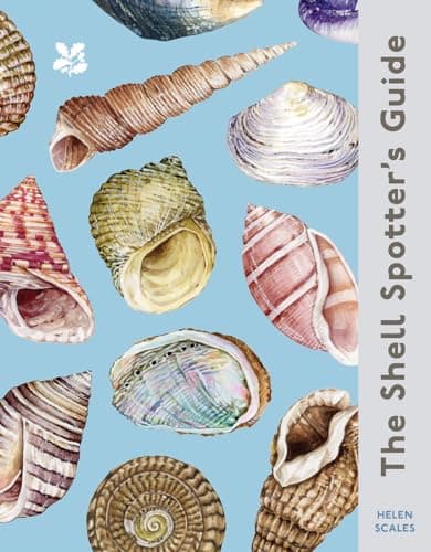 Cover of Shell-Spotter's Guide