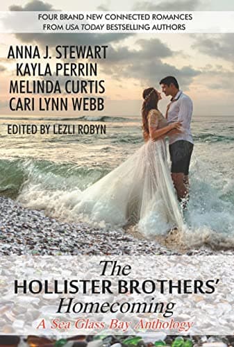 Cover of Hollister Brothers' Homecoming