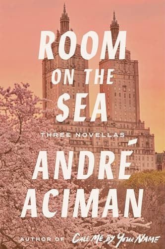 Cover of Room on the Sea