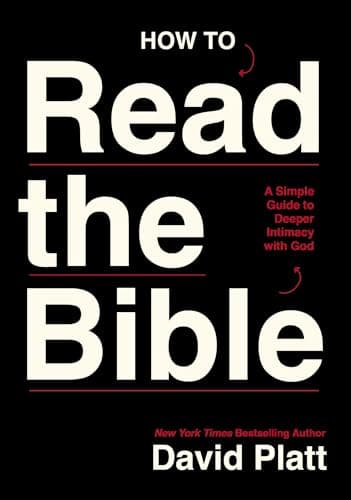 Cover of How to Read the Bible