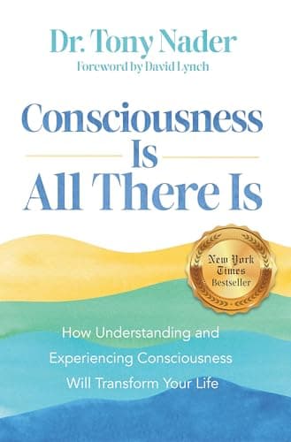 Cover of Consciousness Is All There Is