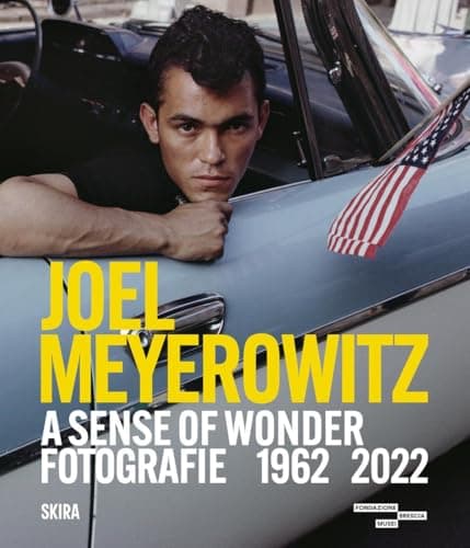 Cover of Joel Meyerowitz : a Sense of Wonder