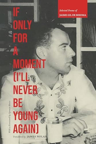 Cover of If Only for a Moment