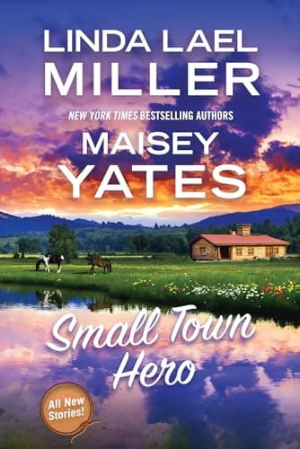 Cover of Small Town Hero