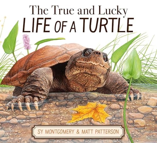 Cover of True and Lucky Life of a Turtle