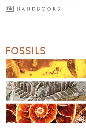 Cover of Fossils