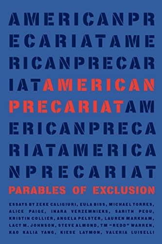 Cover of American Precariat
