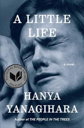 Cover of Little Life