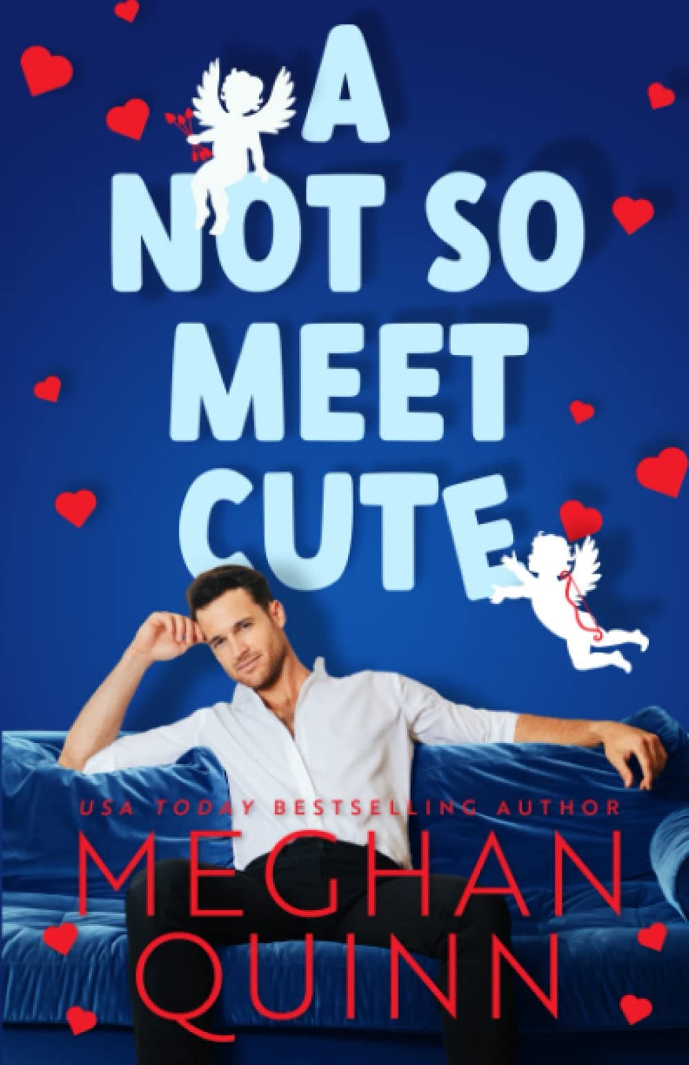 Cover of Not So Meet Cute
