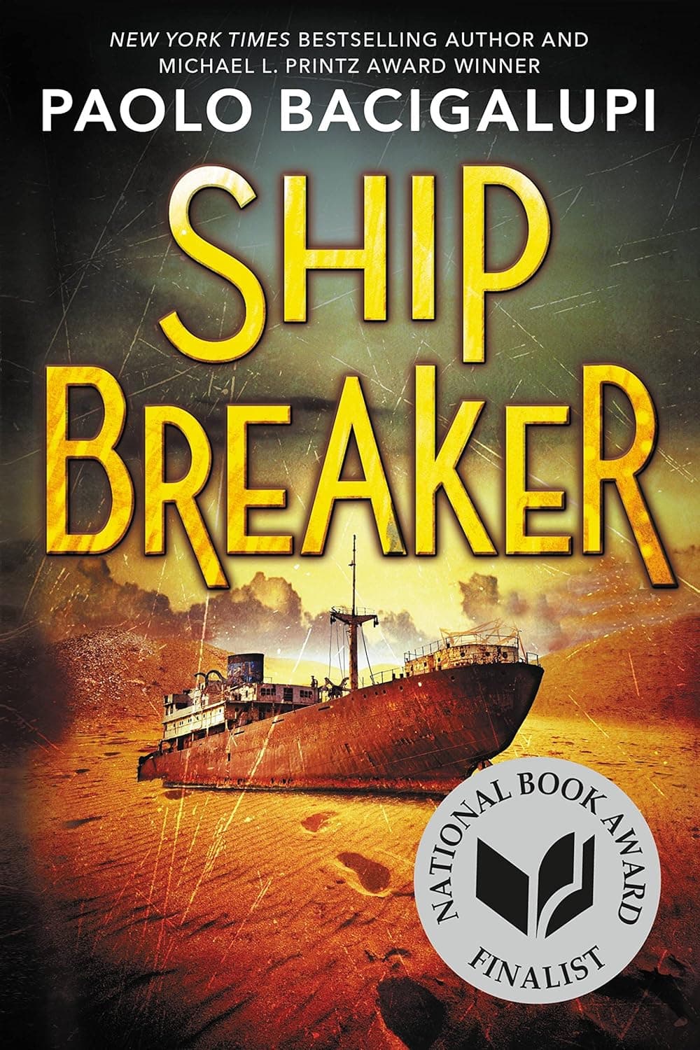 Cover of Ship Breaker
