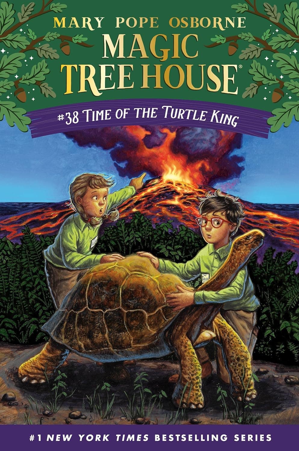 Cover of Time of the Turtle King