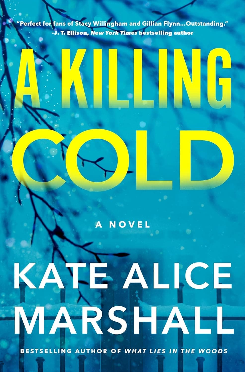 Cover of A Killing Cold