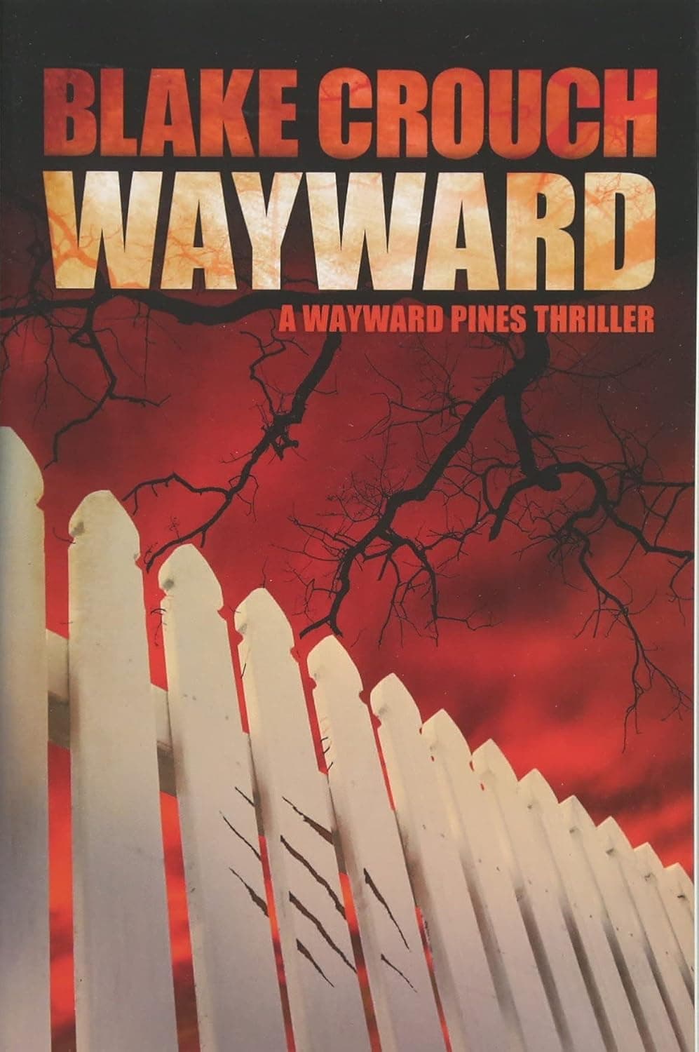 Cover of Wayward: Salaisuus