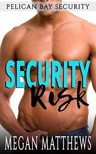 Cover of Security Risk