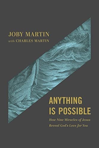 Cover of Anything Is Possible