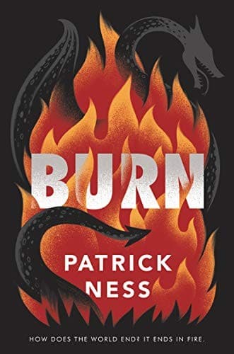 Cover of Burn