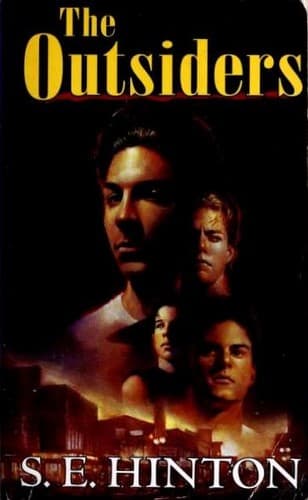 Cover of The Outsiders