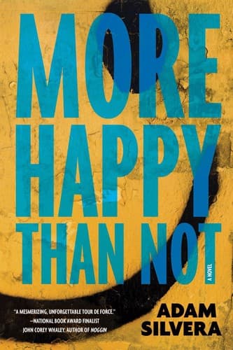 Cover of More Happy Than Not Collector's Edition