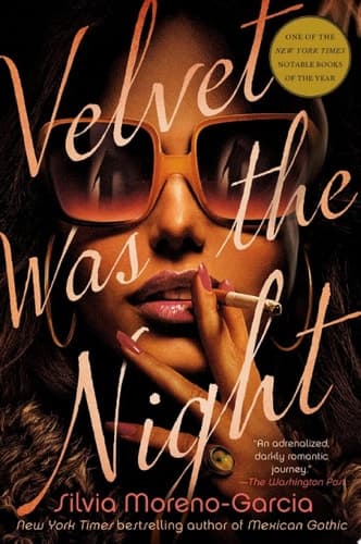 Cover of Velvet Was the Night