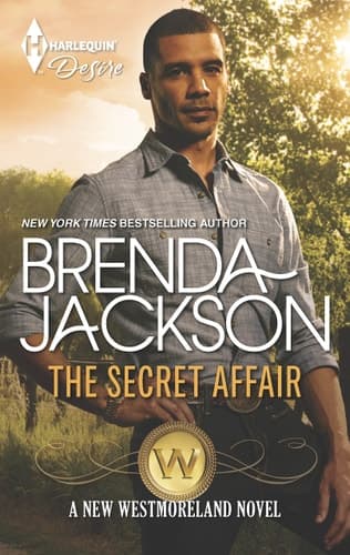 Cover of The secret affair