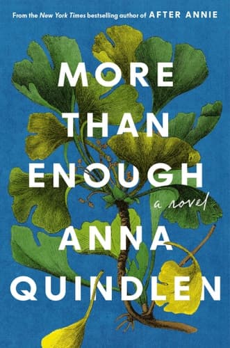 Cover of More Than Enough A Novel