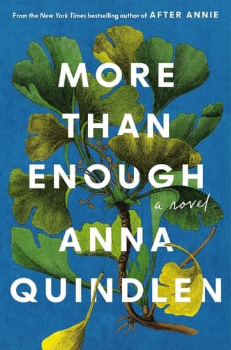 Cover of More Than Enough - A Novel
