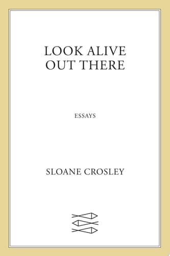 Cover of Look Alive Out There