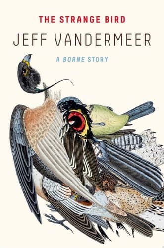 Cover of The Strange Bird: A Borne Story