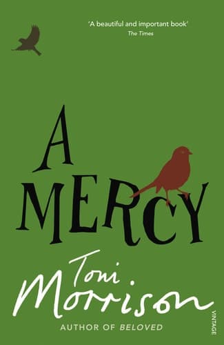 Cover of Mercy