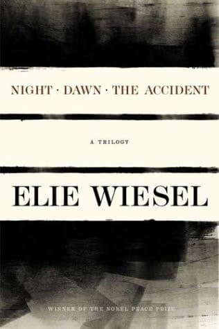 Cover of Night, Dawn, the Accident