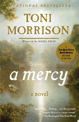 Cover of Mercy