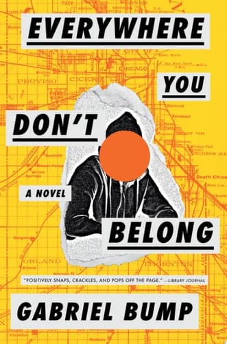 Cover of Everywhere you don't belong : a novel