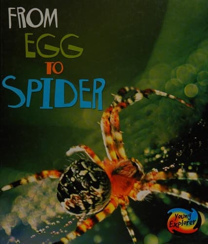 Cover of From egg to spider