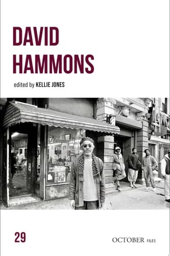Cover of David Hammons