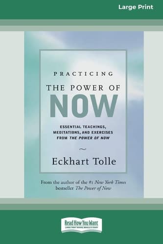 Cover of Practicing the Power of Now