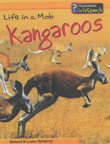 Cover of Life in a Mob of Kangaroos (Animal Groups)