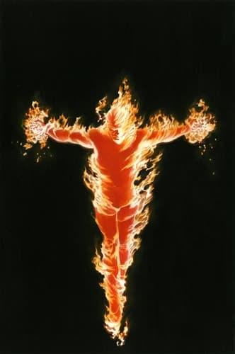 Cover of Torch HC