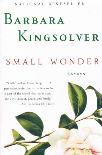 Cover of Small Wonder_display