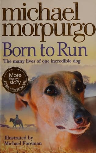 Cover of Born to run